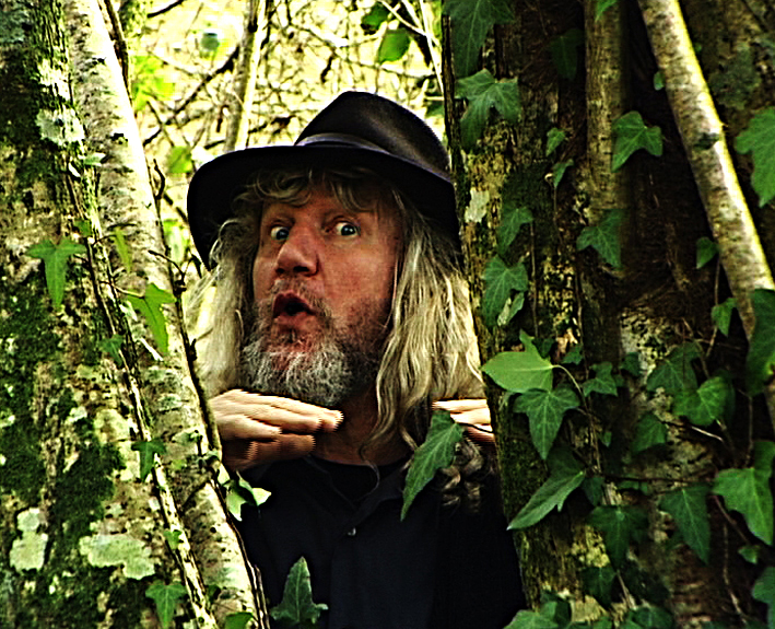 Festival interculturel du conte du Québec - Milaidy et la forêt magique, avec Jean-Marc Derouen