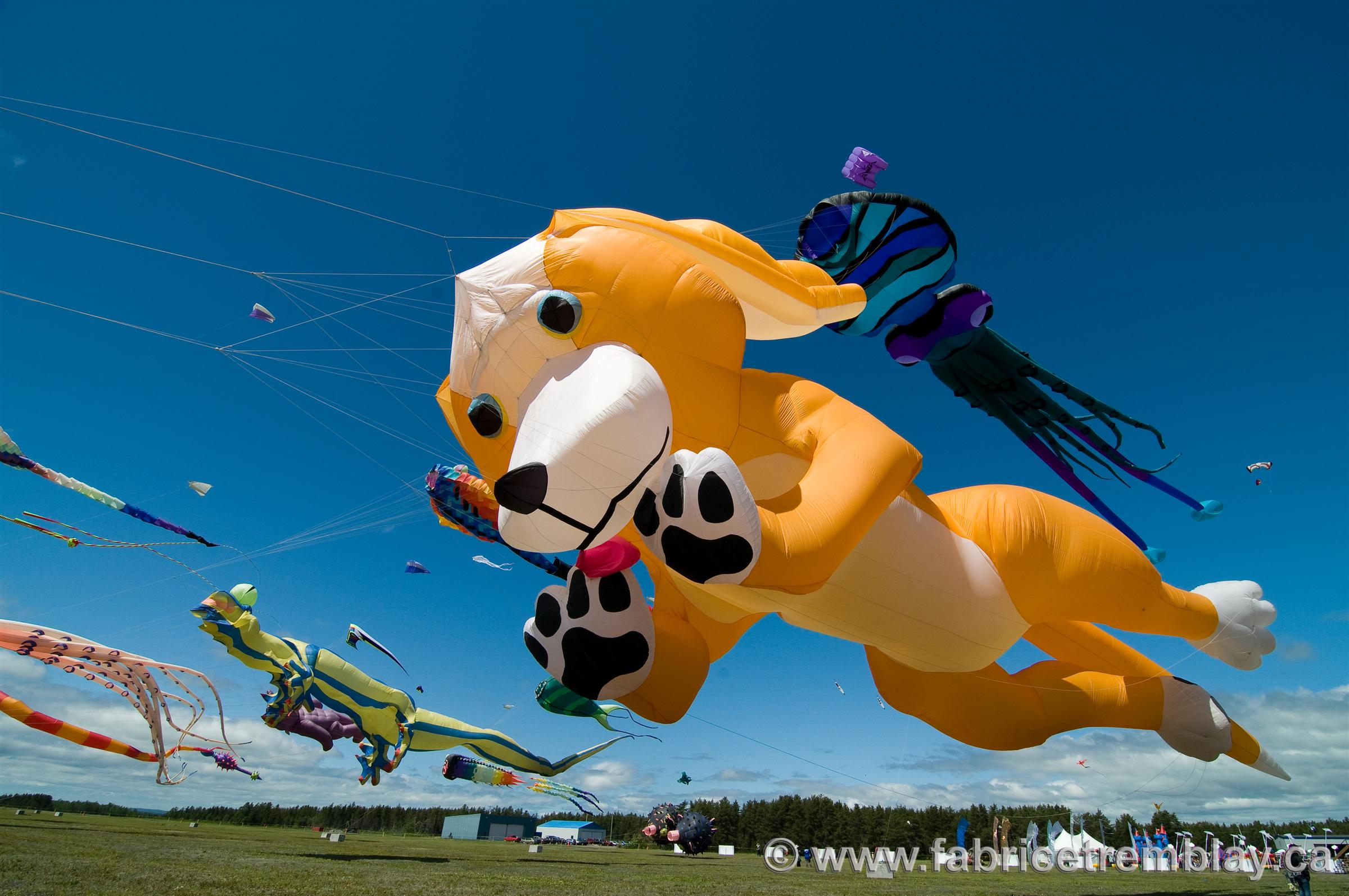 Festival Saint-Honoré dans l'Vent