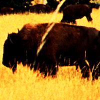 Fight On! - Part One by Guy Sprung