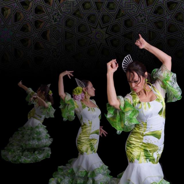 FLAMENCO DE LUCES + Los Jardines Perdidos