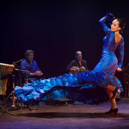 Flamenco Vivo| Lo essencial