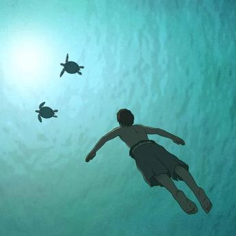 FNC - La tortue rouge