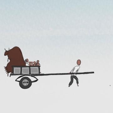 FNC - P'tits Loups 4