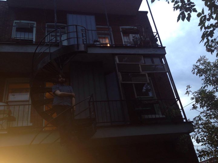 Fog Lake • Common Holly - La Vitrola