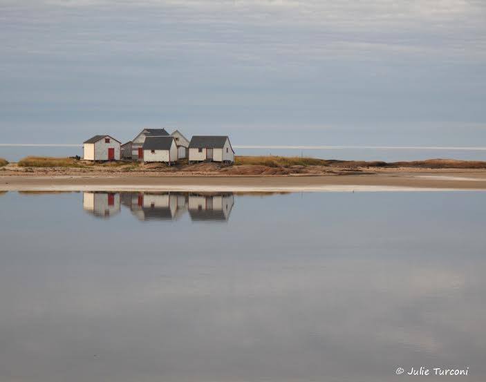 Fractales - Haïkus visuels