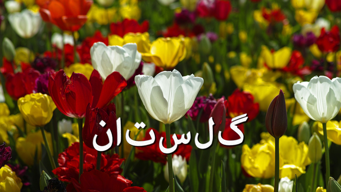 Golestan: Ziya Tabassian, Jake Charkey, Veronica Simas de Souza