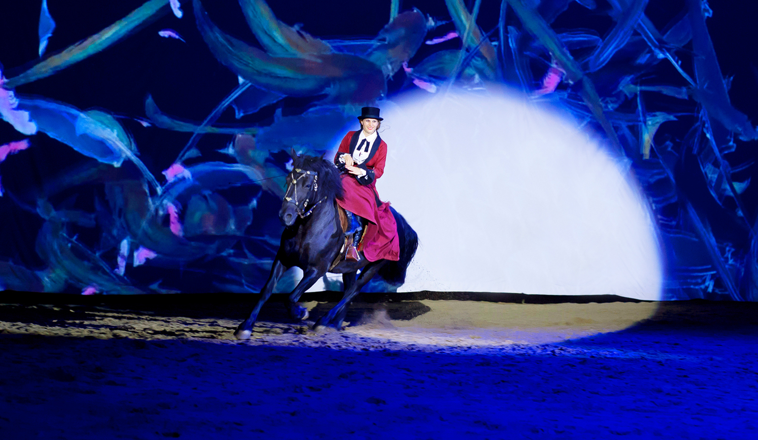 Grand spectacle équestre « Cheval-Artiste »
