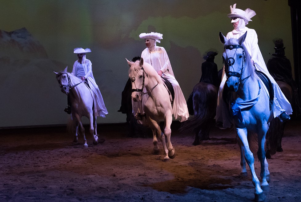 Grand spectacle équestre « Équilibre »