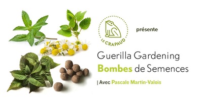 Guerilla Gardening : Bombes de Semences