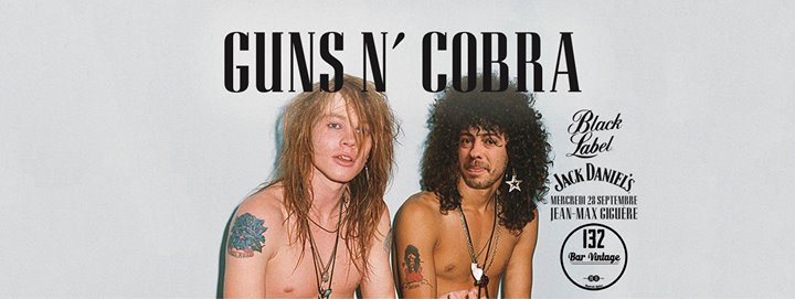 GUNS N' COBRA
