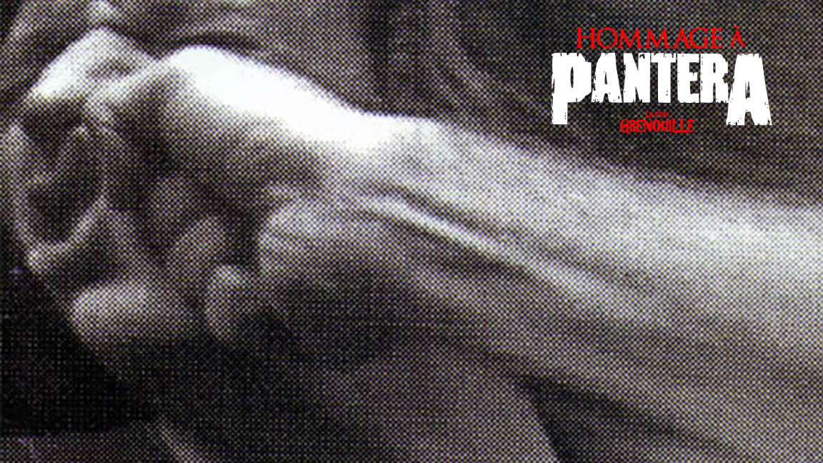Hommage à Pantera: Fantera, DJ et Chansonnier + invité(s)