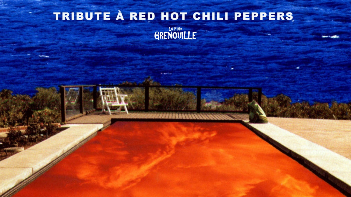 Hommage à Red Hot Chili Peppers: Parallel Universe, DJ et Chansonnier + invité(s)