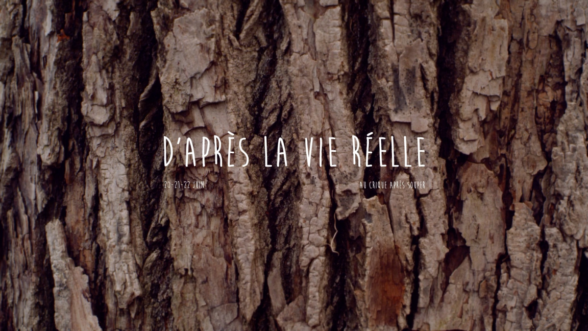 II. D'après la vie réelle: Au crique après souper