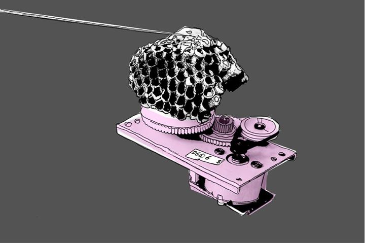 Inscriptions : Cinétique, son et poésie du mouvement : Formation