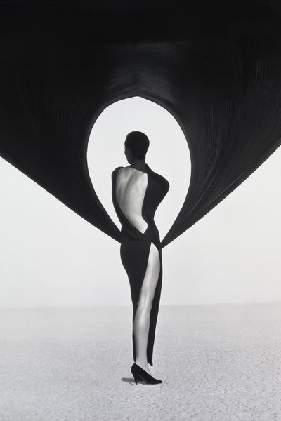 Introduction à la photo numérique: Herb Ritts