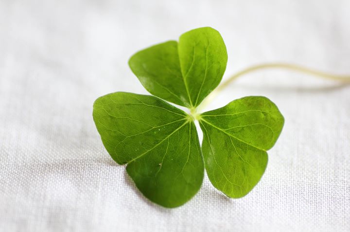 Irish Dance Workshop