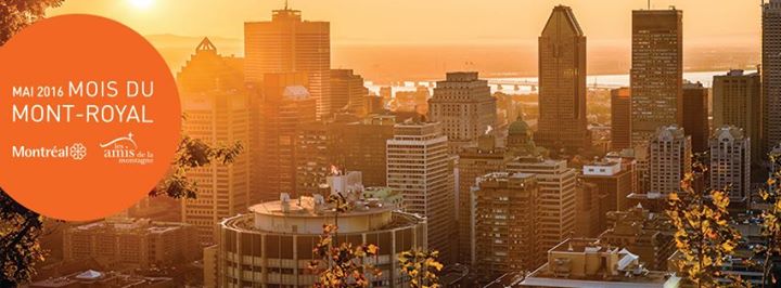 Jeudis découvertes sur le mont Royal
