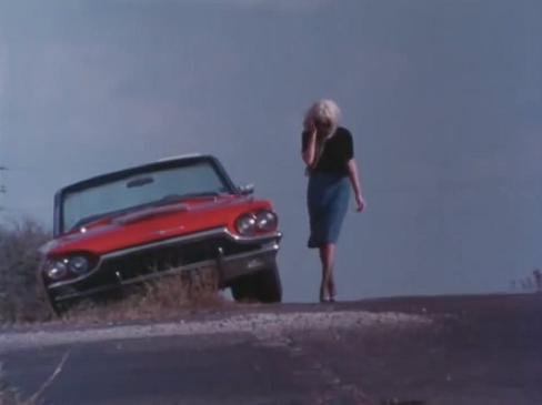 JONATHAN DEMME: MADE IN TEXAS