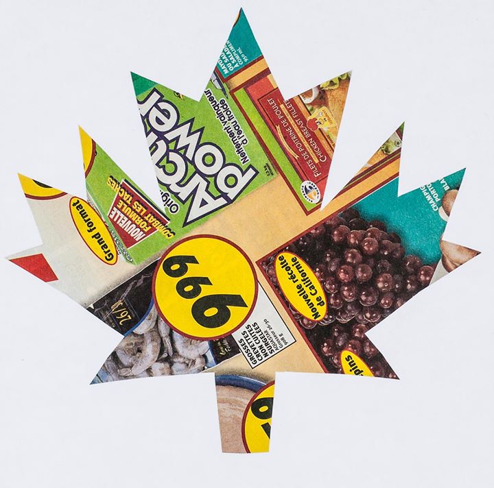 Julie Picard – Spécimens / Du 19 novembre 2016 au 15 janvier 2017