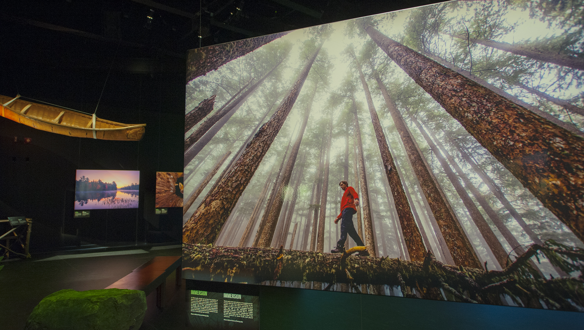 L'esprit de la forêt