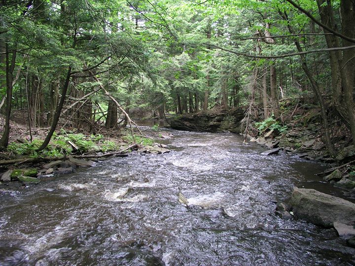 L’influence des eaux souterraines sur les milieux naturels