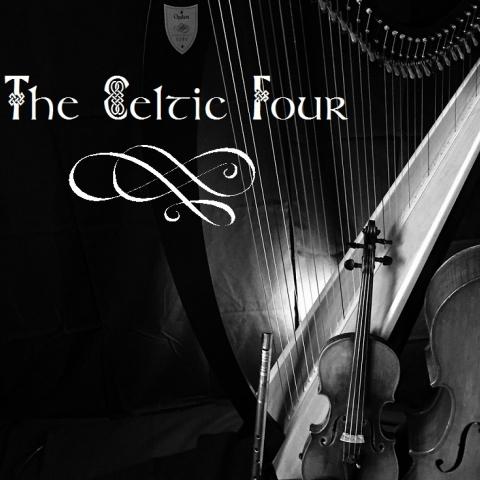 L'Irlande est ici - Oasis musicale