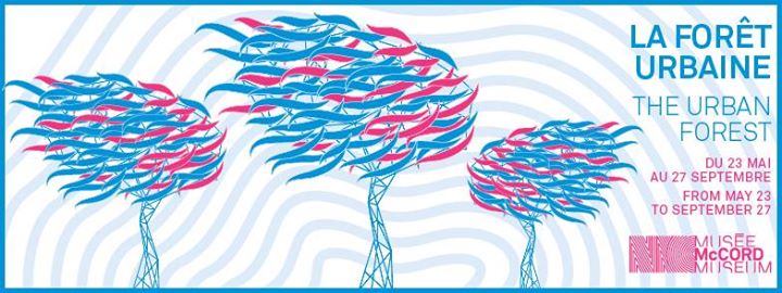 La Forêt urbaine / The Urban Forest
