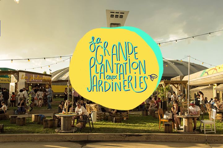 La grande plantation aux Jardineries