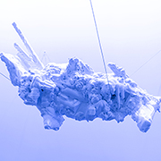 La position de l'apex