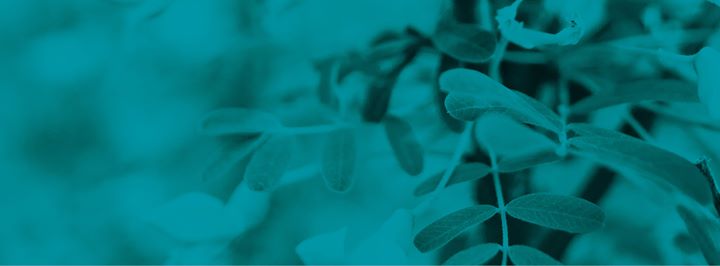 Lancement de l'album "La maison du monde"