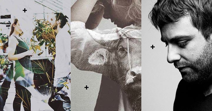 Laura Babin // Arriola // Harryplustonio