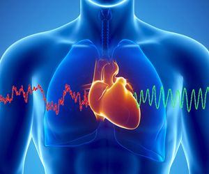 Le coeur, premier cerveau?