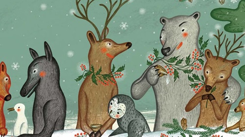 LE PETIT OURS GRIS DE LA MAURICIE