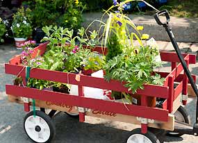 Le Rendez-vous horticole