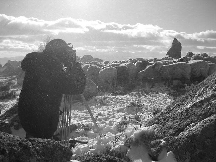 Leçon de cinéma : Pierre-Yves Vandeweerd aux RIDM