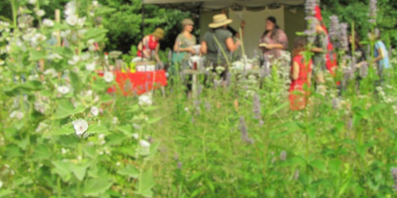 Les 5 à 7 au jardin de l'herboriste