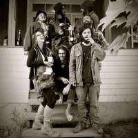 Les Chiens de Ruelles