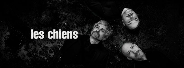 Les Chiens - Montréal