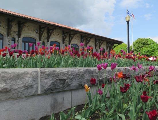Les dimanches en musique dans le Chalet du Mont-Royal : Vue sur Andara