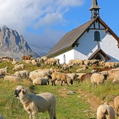 Les Grands Explorateurs