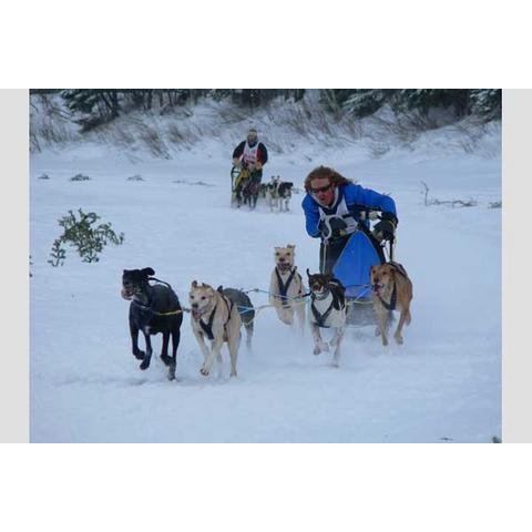 Les Internationaux de traîneau à chiens du Canada