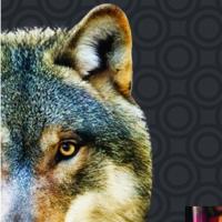 Les Loups de la Scène (spectacle d'humour)