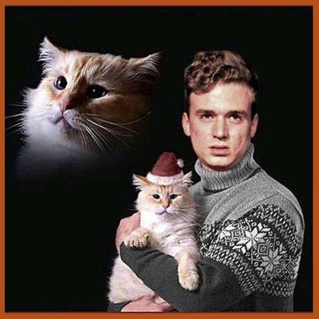 Les lundis de l'Humour Sauvage