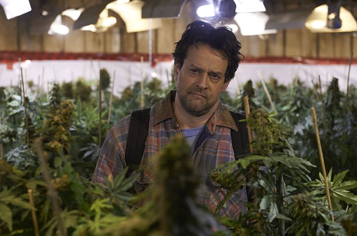 Les mauvaises herbes – Louis Bélanger