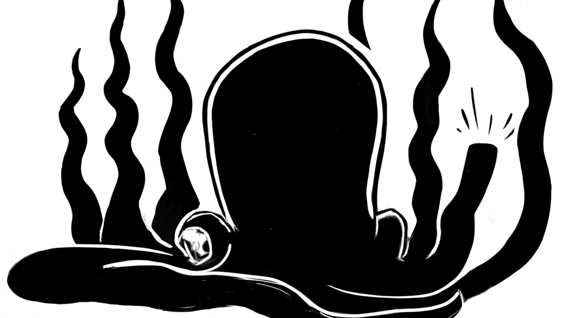 Les Soirées Progtobre