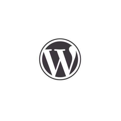 LUNCH & LEARN gratuit : Apprenez à bien publier votre contenu avec Wordpress