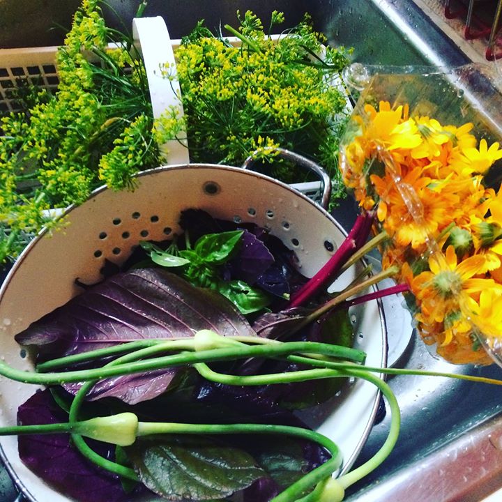 Making It Last: The Art of Food Storage