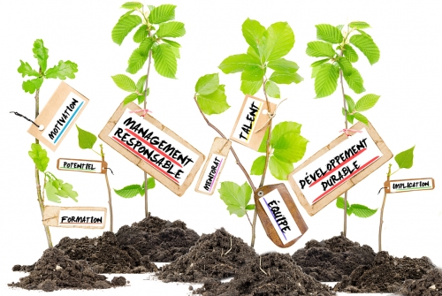 Management responsable et transition juste : attirer et retenir les talents dans un contexte de pénurie de main-d'œuvre