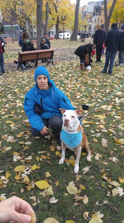 Manifestations Sur La Réglementations Des Animaux De La Ville De Montréal