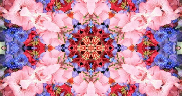 Mantras for Transformation